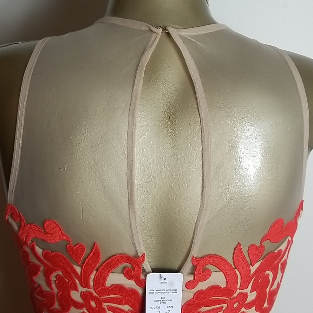 Bebe Rosa Embroidered Laced Sheer Dress - Picture 4 of 6